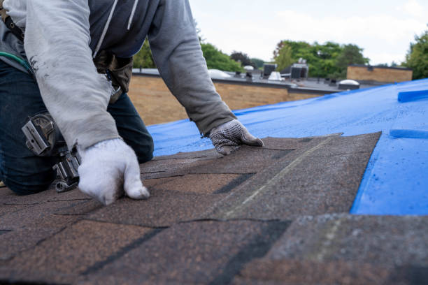 Best New Roof Installation  in Enigma, GA
