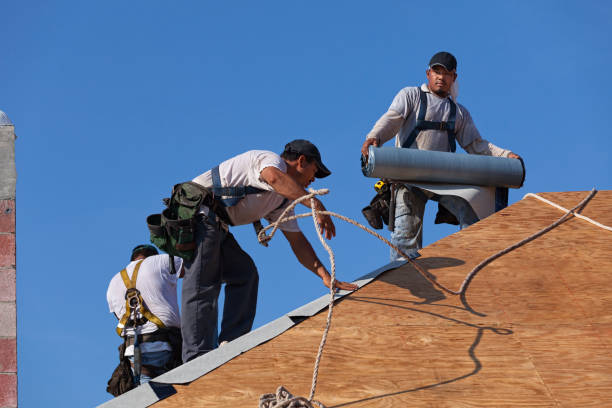 Best Metal Roofing Contractor  in Enigma, GA